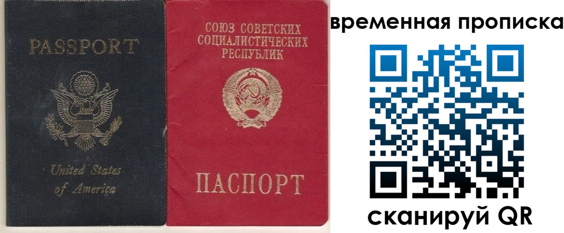 прописка для школы в Раменском